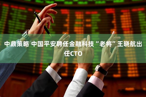 中鼎策略 中国平安聘任金融科技“老将”王晓航出任CTO