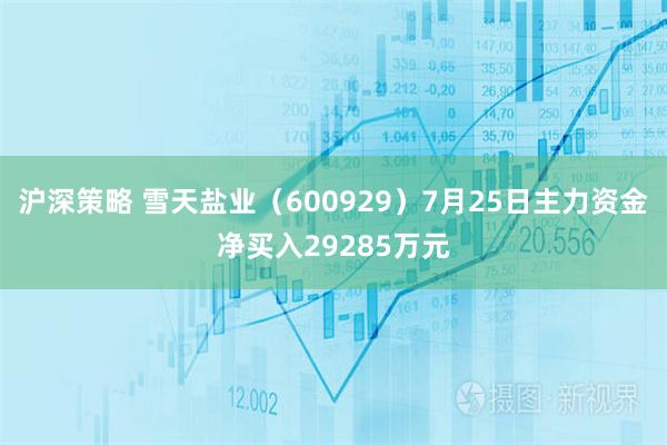 沪深策略 雪天盐业（600929）7月25日主力资金净买入29285万元
