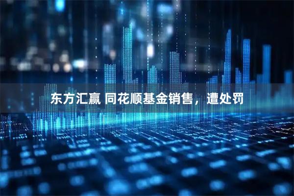 东方汇赢 同花顺基金销售，遭处罚