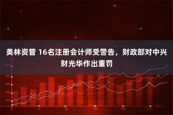美林资管 16名注册会计师受警告，财政部对中兴财光华作出重罚