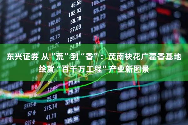 东兴证券 从“荒”到“香”：茂南袂花广藿香基地绘就“百千万工程”产业新图景
