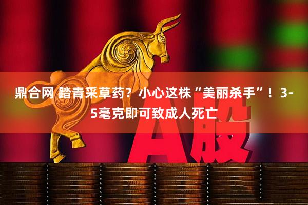 鼎合网 踏青采草药?小心这株“美丽杀手”!3-5毫克即可致成人死亡